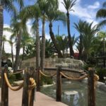 Luxury Detox Program