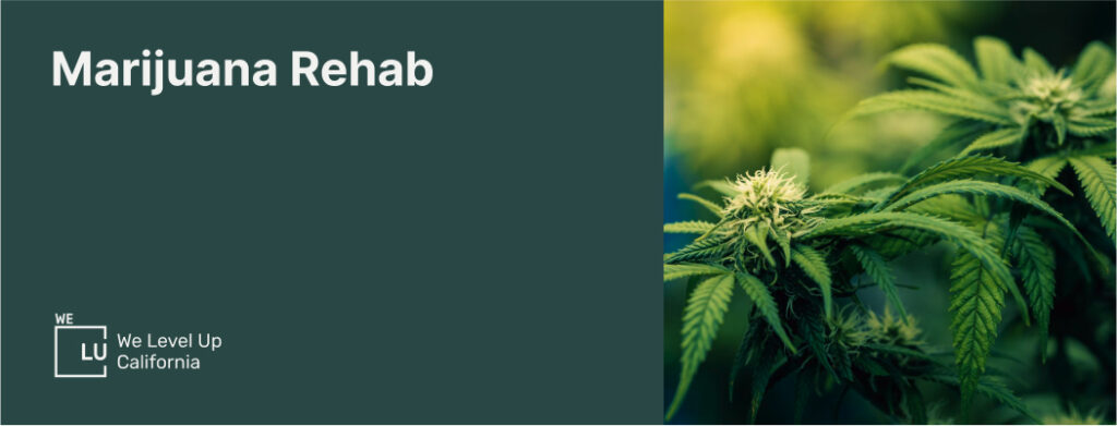 Marijuana rehab California banner