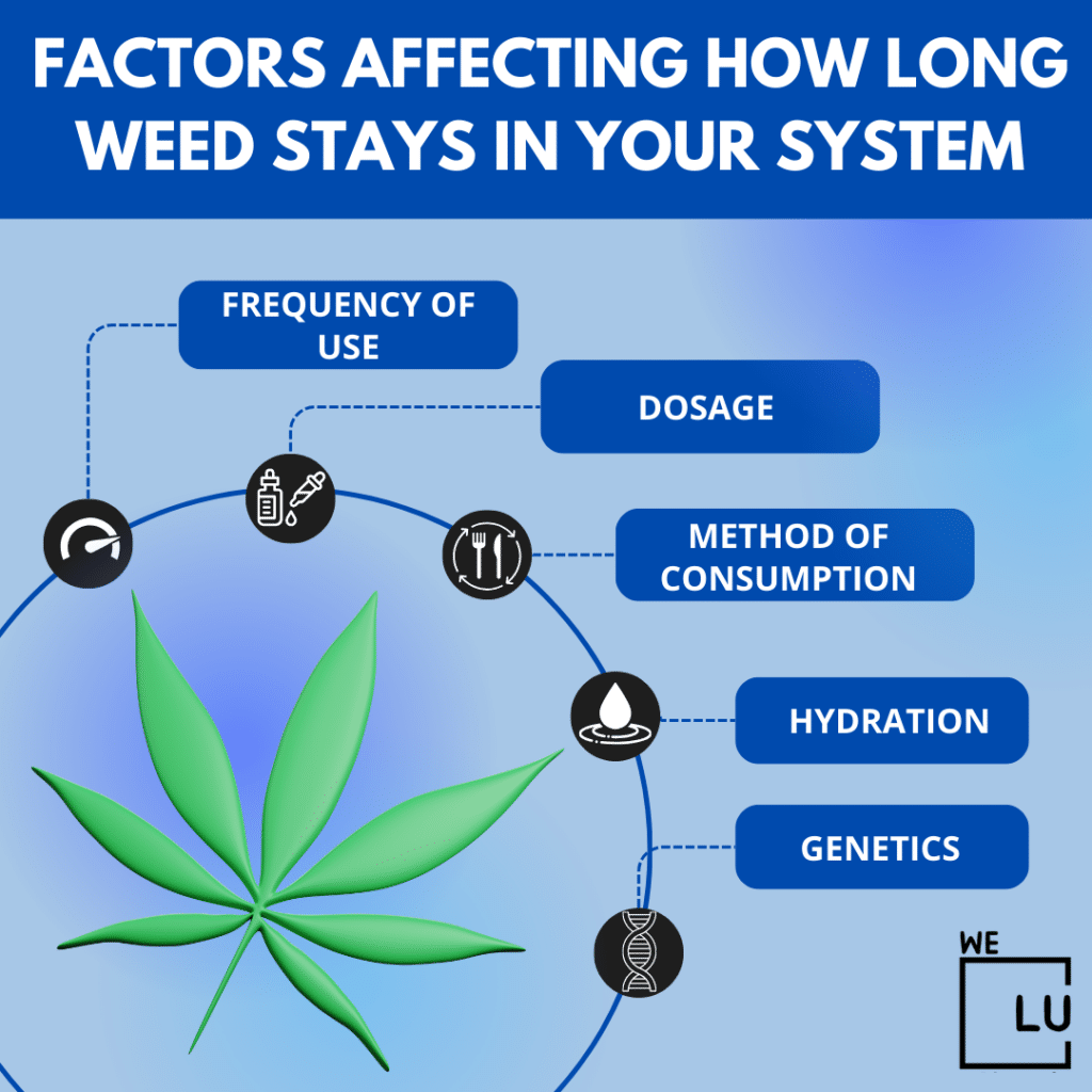 How does your body metabolize THC? There are a variety of factors that affect how your body processes THC. Some factors include the manner of ingestion and your overall health.