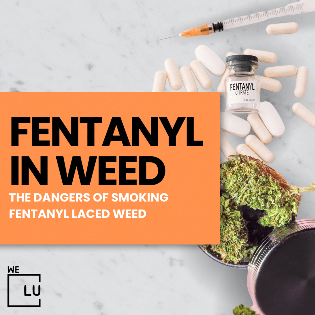 Fentanyl in weed comes in the form of Fentanyl-laced weed. The combination of Fentanyl and Weed can have unpredictable and high-risk effects.