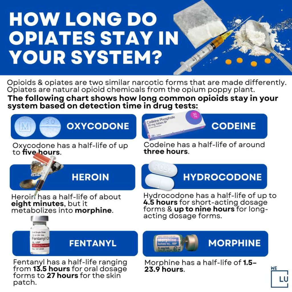 How long does Oxycodone stay in your system? Oxycodone has a half-life of up to five hours. It is detectable in urine tests for about 2 to 4 days after the last dose.