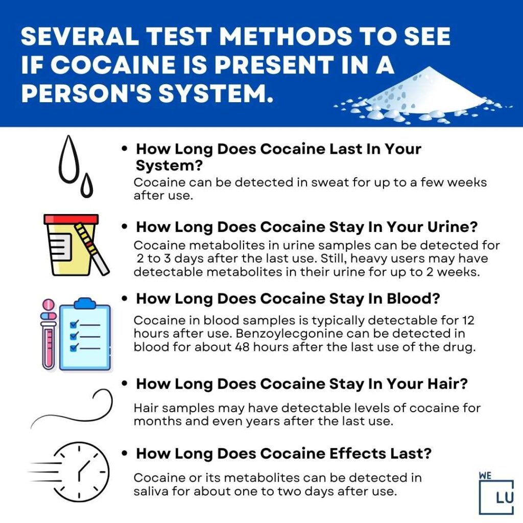 How Long Does Cocaine Stay in Your System? The detection window for cocaine depends on various factors, including the type of drug test used, your metabolism, frequency of use, and individual factors. Whether you're concerned about a drug test or want to understand the potential health effects, we'll explore the timelines for cocaine detection in urine, blood, saliva, and hair.