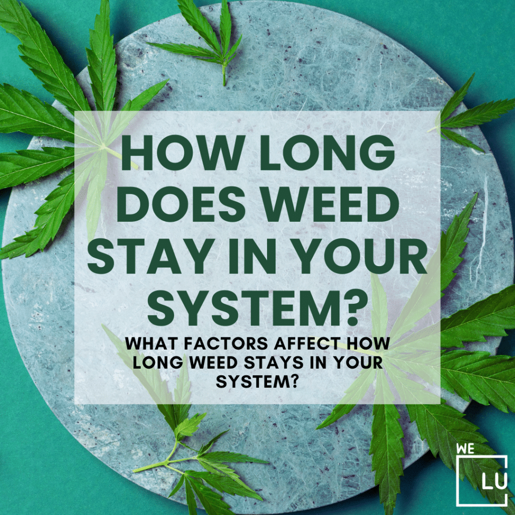 How long does weed stay in your blood stream? The duration that weed stays in your system depends on several factors, including the frequency of use, the potency of the cannabis, metabolism, and individual characteristics. 