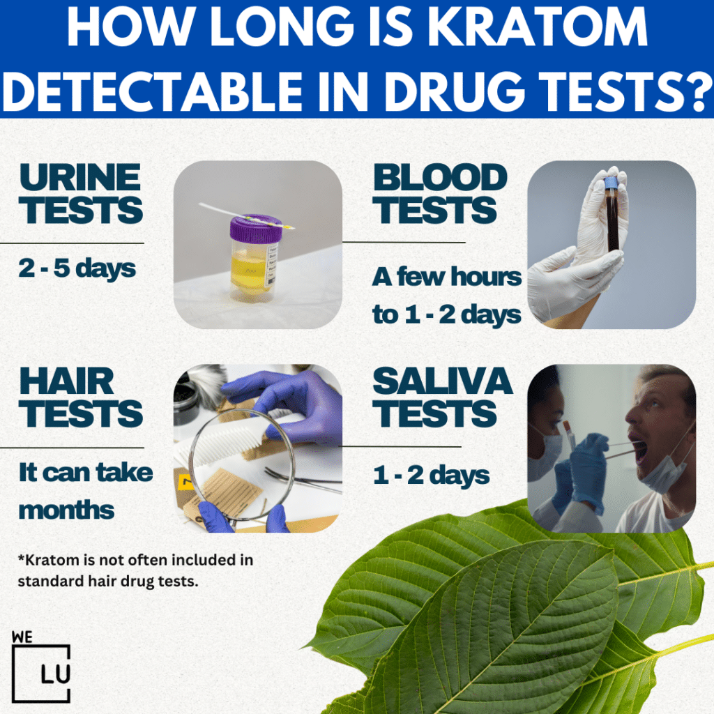 In general, the effects of kratom are typically felt within 15 to 30 minutes of consumption, though it can take up to an hour for some people.