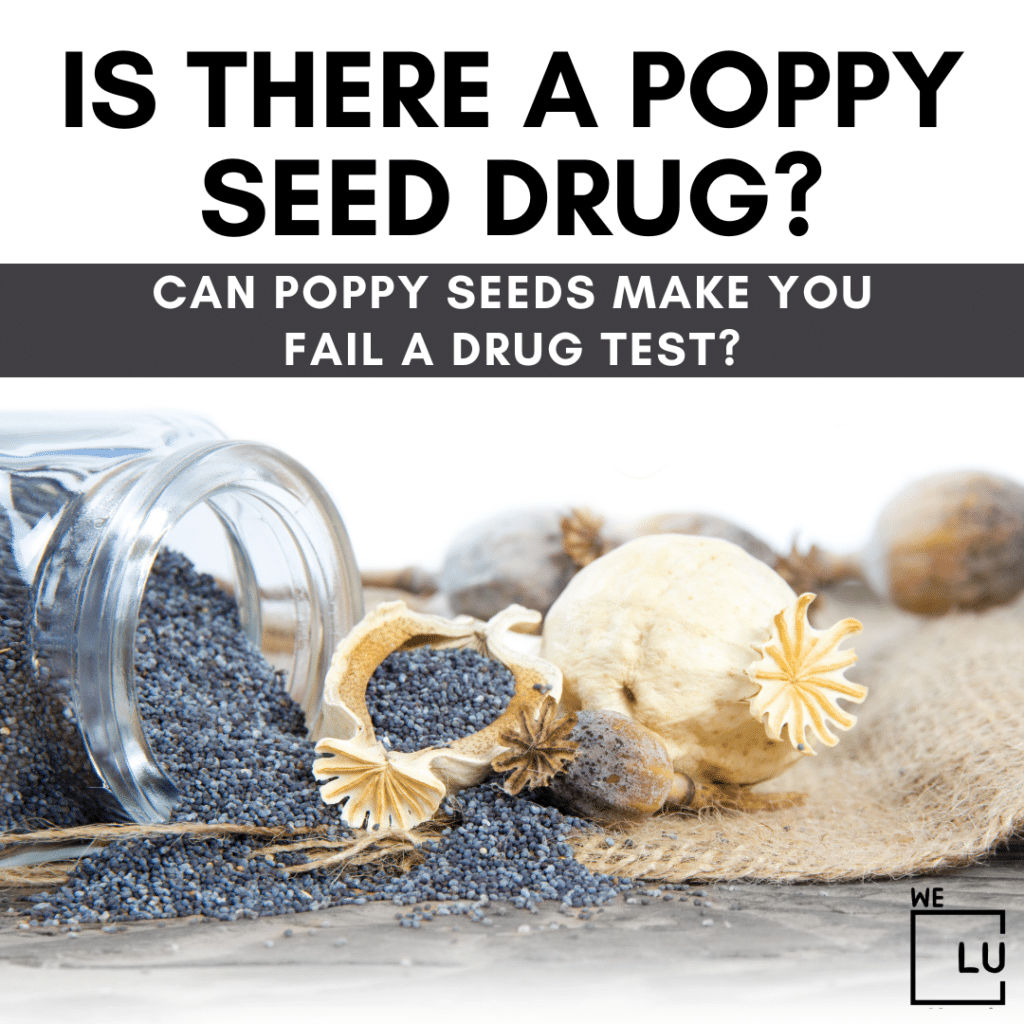 Is there a poppy seed drug? While the seeds themselves are not drugs, they are derived from the opium poppy plant and have very low traces of opiates.