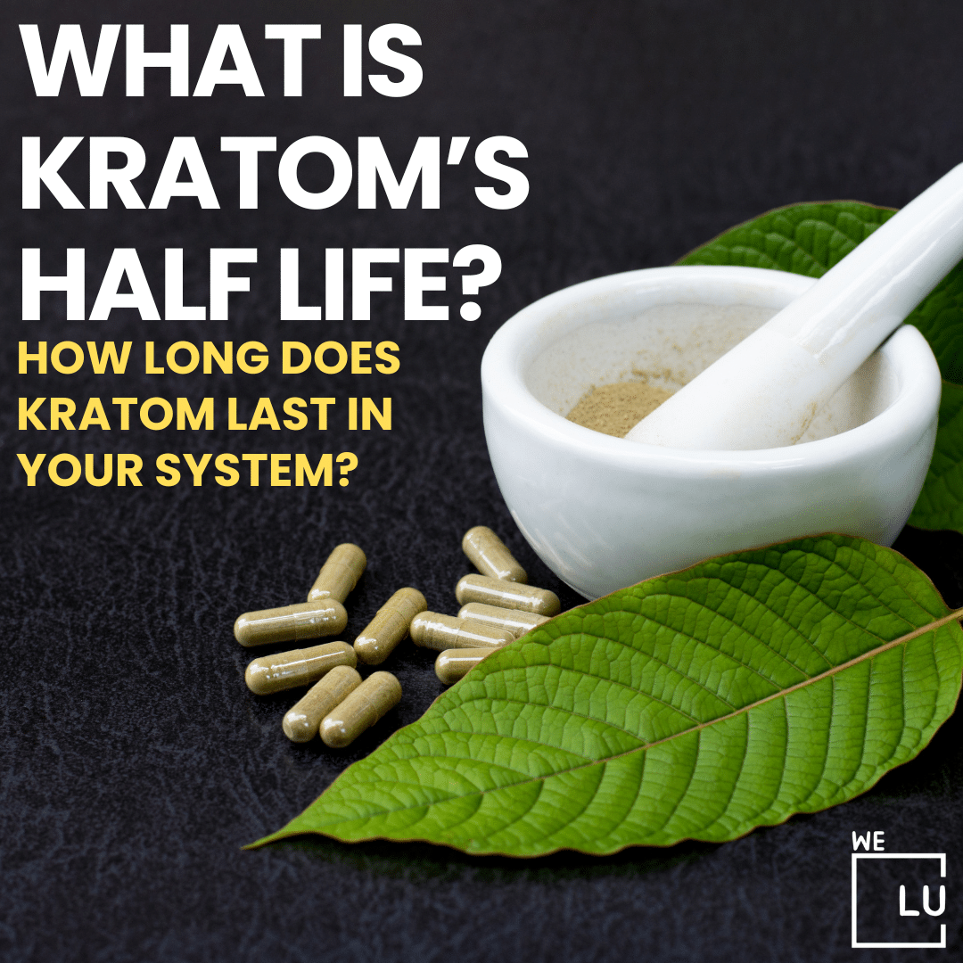 How Long Does Kratom Last In Your System? Kratom Half Life.