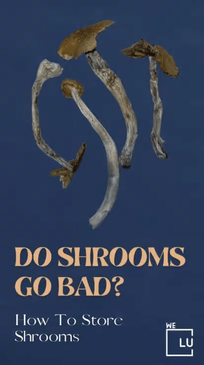 How Long Do Shrooms Stay in Your System?  The duration that shrooms (psilocybin) stay in your system can vary depending on the type of drug test used and individual factors.