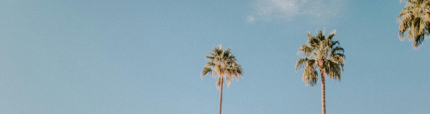 Palm trees, representing California, an ideal place for California medication assisted treatment